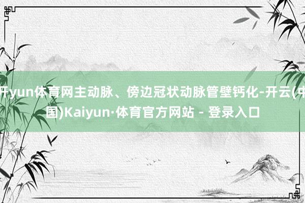 开yun体育网主动脉、傍边冠状动脉管壁钙化-开云(中国)Kaiyun·体育官方网站 - 登录入口