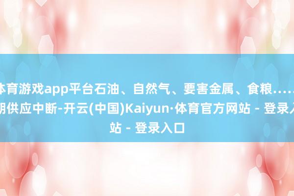 体育游戏app平台石油、自然气、要害金属、食粮……一朝供应中断-开云(中国)Kaiyun·体育官方网站 - 登录入口